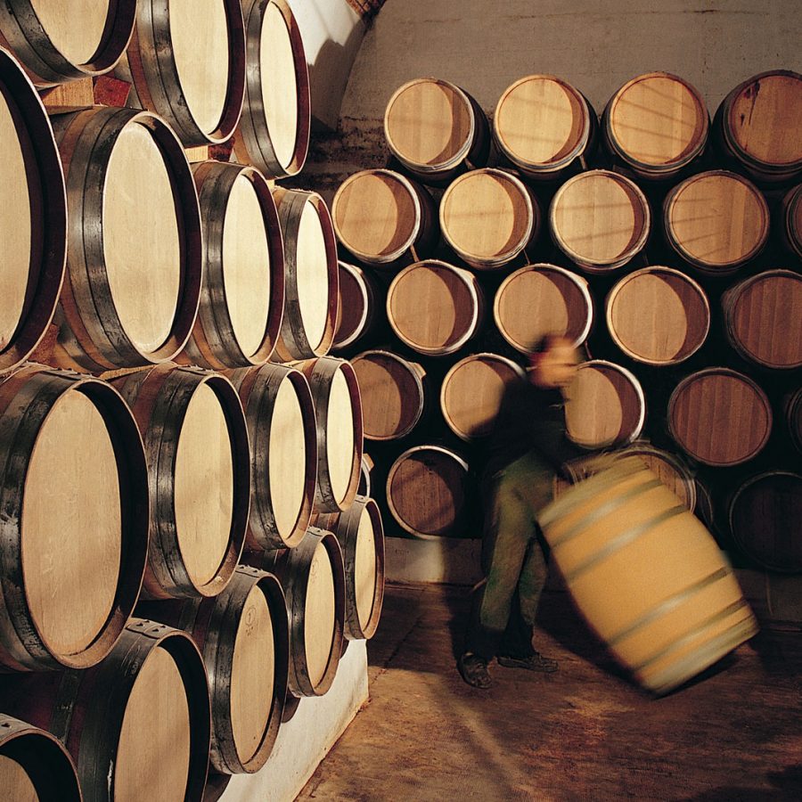 dominio-de-bornos-bodega